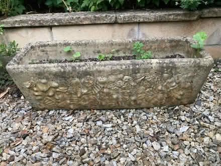 Photo of free Two round plant pots, one long one. (Bear Flat BA2) #2