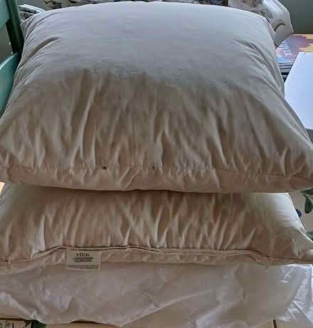 Photo of free 3 cushions, two are feather. No covers (Buggs Bottom RG4) #1