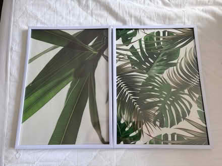 Photo of free White clip photo frames (Leighton Buzzard LU7) #1