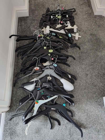Photo of free Clothes hangers (Walker NE6) #1
