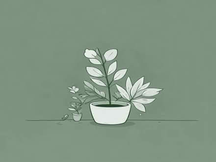 Photo of free b21 - garden plants (Handsworth B21) #1