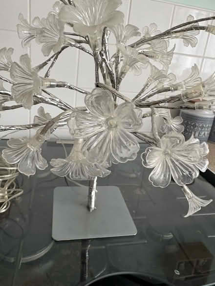 Photo of free Flower lamp (Erith DA17) #3