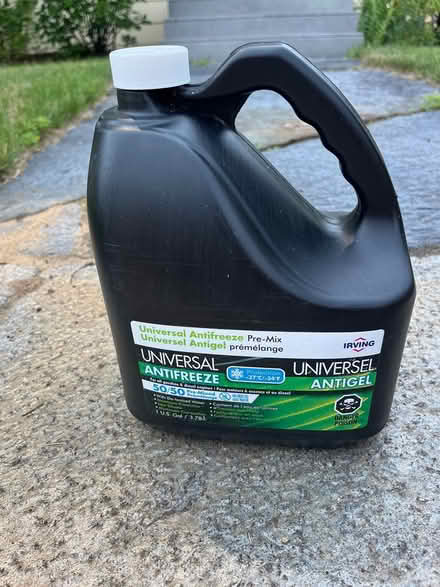 Photo of free Antifreeze (Cherry-Lux) #1
