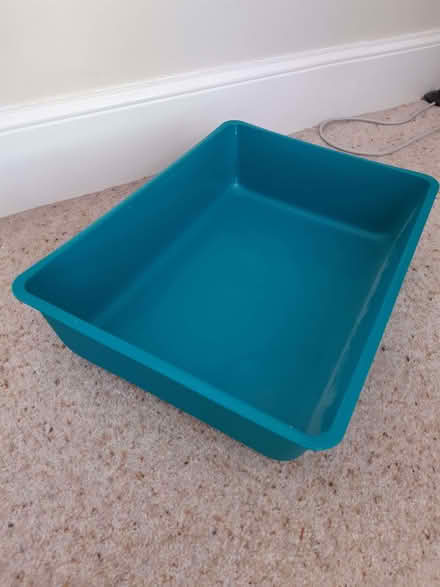 Photo of free Cat Litter Tray (Kennington TN24) #1