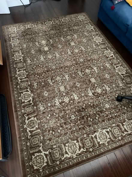 Photo of free 5x8 Rug (approximate) (Jones Hill/Dorchester) #1
