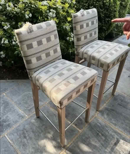 Photo of free Clear out: chairs, rug - must fo today (North Camp GU14) #4