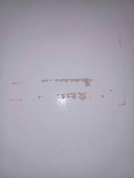 Photo of free Internal door 196cm x 68cm (Epping CM16) #2