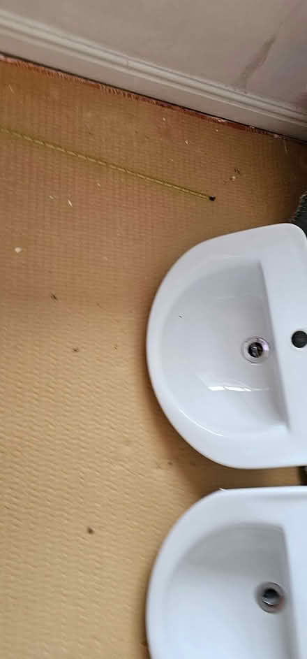 Photo of free Two ceramic bathroom basins (Swansea SA2) #4
