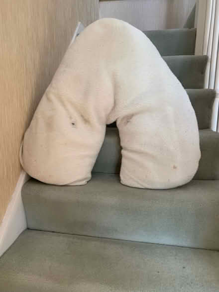 Photo of free V cushion (Crowthorne RG45) #1