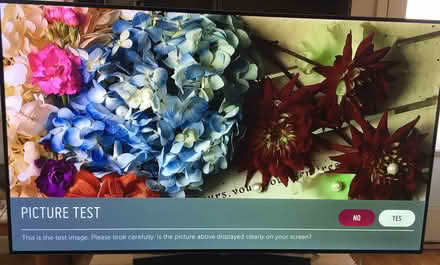Photo of free LG 55" OLED SmartTV, but (Foster & California Ave) #1