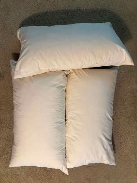 Photo of free Down pillows, standard size (Evergreen, E. San Jose) #1