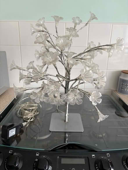 Photo of free Flower lamp (Erith DA17) #2