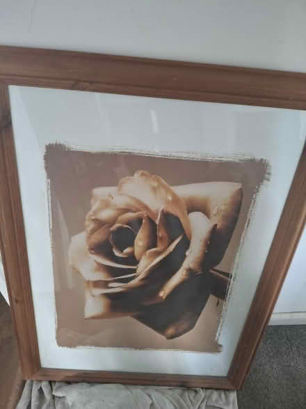 Photo of free Framed picture (Reddish SK5) #1