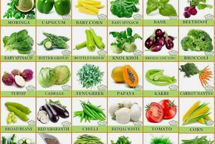 Photo of Vegetable plants (Romford RM1) #1