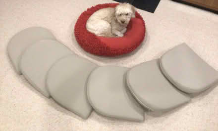 Photo of free 6 outdoor/ indoor cushions (Yarralumla) #1