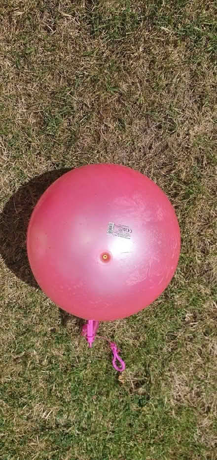 Photo of free Three children's play balls (New Ash Green, DA3) #4