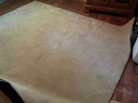 Photo of free Beige carpet 6 x 10 (South Salem NY) #2