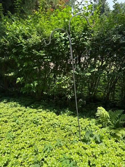 Photo of free Shepherd’s hook (Croton-on-Hudson) #1