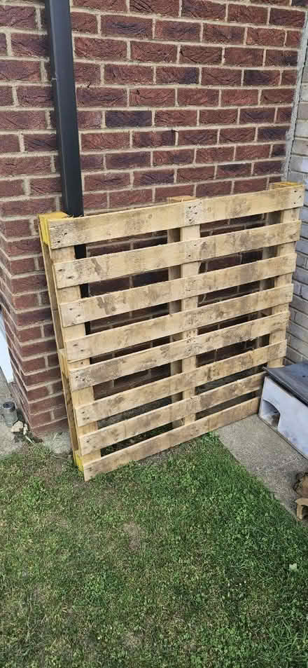 Photo of free Pallet (Abingdon, OX14 3TD) #1