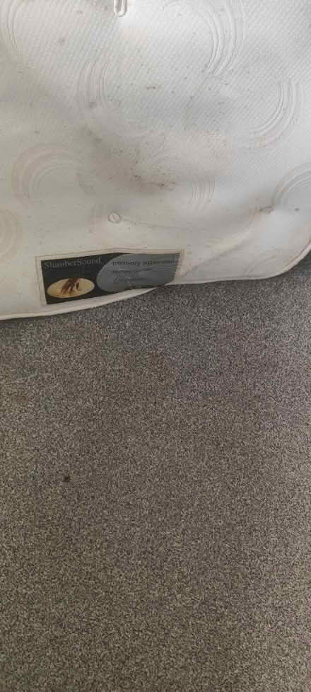 Photo of free Single mattress and Baby bath equip (DY10 Kidderminster.) #2