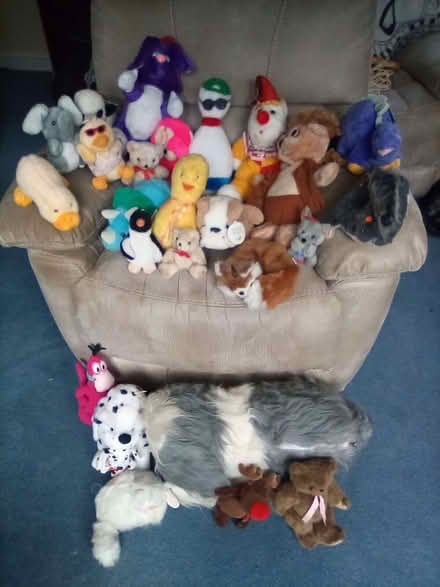 Photo of free soft toys (Lye DY9) #1