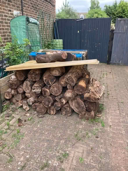 Photo of free Seasoned logs (Horley) #1