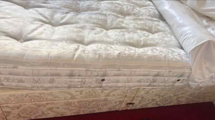 Photo of free Double bed and mattress (Warfield RG42) #3
