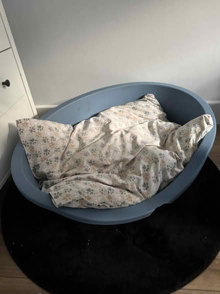Photo of free Medium sized dog bed (Whitchurch RG28) #1