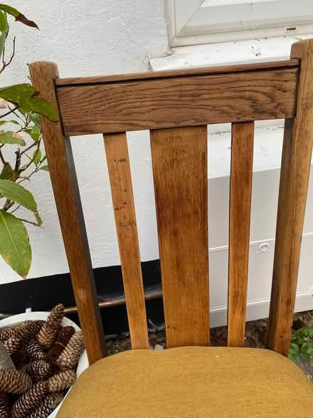 Photo of free Chair (Epsom common KT18 7SZ) #3