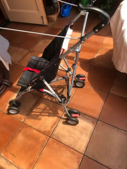 Photo of free Buggy (Paignton TQ3) #2