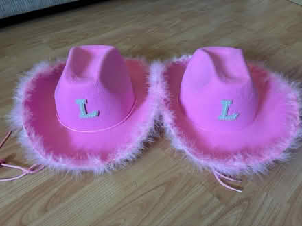 Photo of free 2 pink cowboy hats (Bicknacre CM3) #1