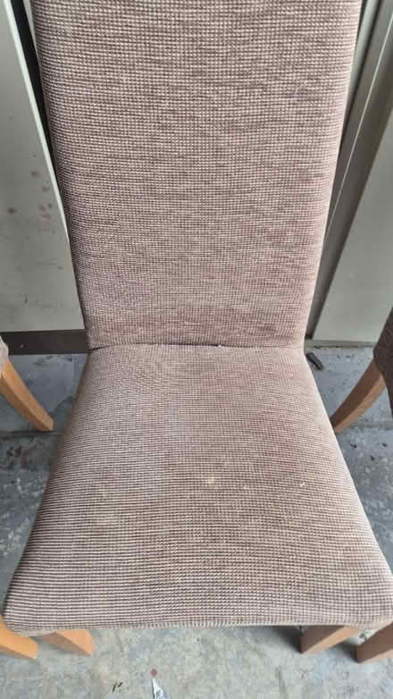 Photo of free Chairs (Hastings TN37) #3