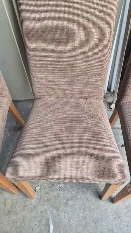Photo of free Chairs (Hastings TN37) #4