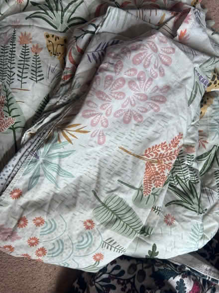 Photo of free Bed sheets (Caia Park LL13) #2