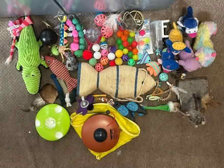 Photo of free Large bundle of cat toys (Chorley PR6) #1