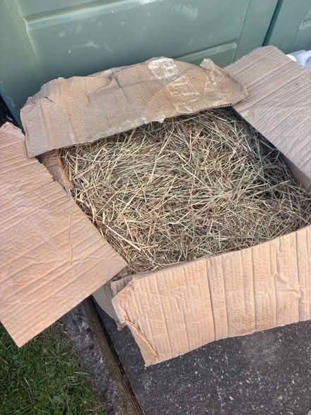 Photo of free Feeding hay (Garston L19) #1