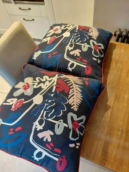 Photo of free 2 cushions (Knightsfield Welwyn Garden AL8) #1