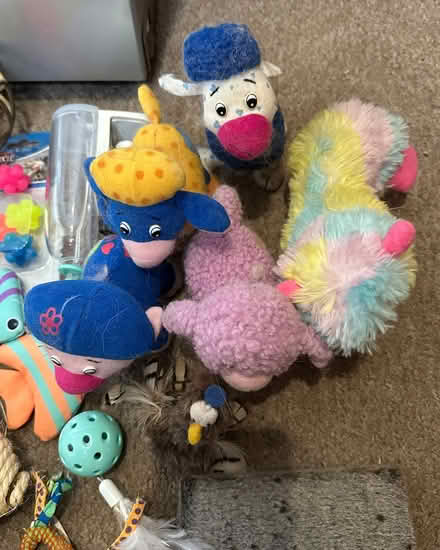 Photo of free Large bundle of cat toys (Chorley PR6) #2