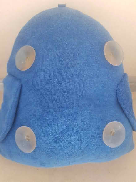 Photo of free Penguin Bath Cushion (Cyncoed CF23) #2