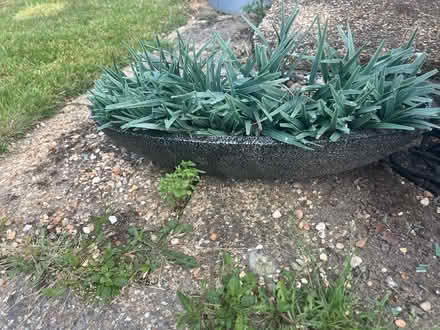 Photo of free Artificial pot and plant (Southborough) #1