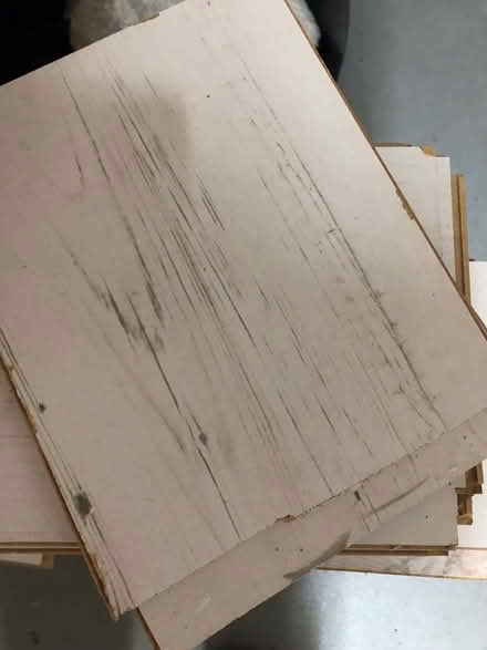 Photo of free Very light laminate flooring (Redditch B98) #1
