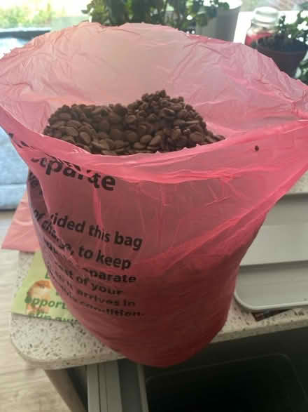 Photo of free 4.2kg dog food (Harpenden AL5) #2
