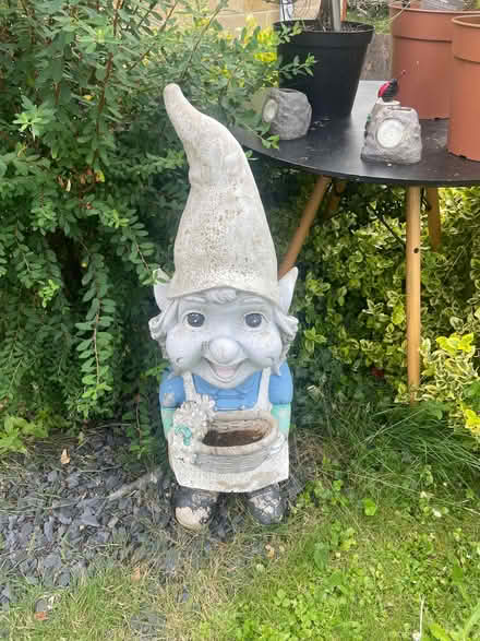 Photo of free Large heavy garden gnome (Southdown BA2) #1