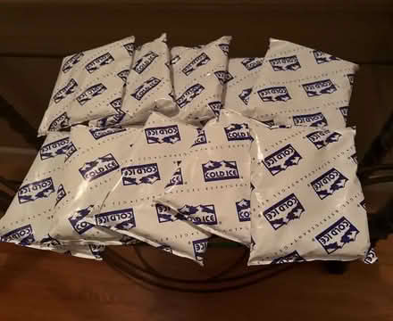Photo of free Ice Packs (14) (Campbell, California) #1