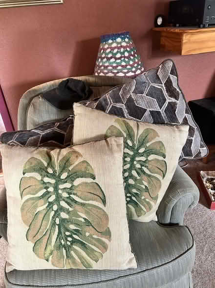 Photo of free Couch pillows (Eastside) #1