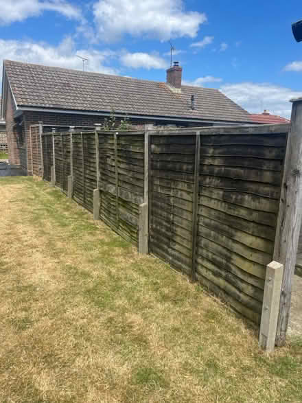 Photo of free Fence panels (Middleton on sea) #1