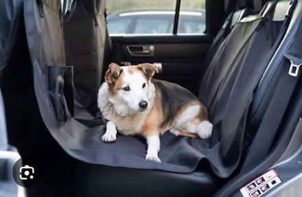 Photo of free Waterproof dog cover for carseats (Brockley SE4) #2