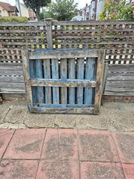 Photo of free Blue wooden pallet (YO16 Bridlington) #1