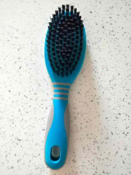 Photo of free Cat Brush (Shenley Lodge MK5) #1