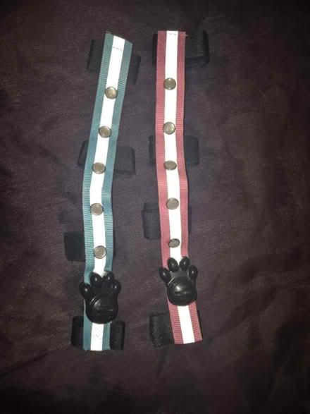 Photo of free Light up collar (Bolton, BL3) #2